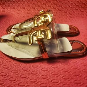 NWT Sam Edelman Women's Carter Flat